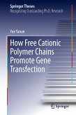 How Free Cationic Polymer Chains Promote Gene Transfection (eBook, PDF)