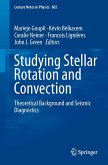 Studying Stellar Rotation and Convection (eBook, PDF)