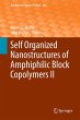 Self Organized Nanostructures of... - Bild 1