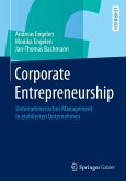 Corporate Entrepreneurship (eBook, PDF)