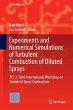 Experiments and Numerical Simulations... - Bild 1