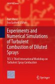 Experiments and Numerical Simulations of Turbulent Combustion of Diluted Sprays (eBook, PDF)
