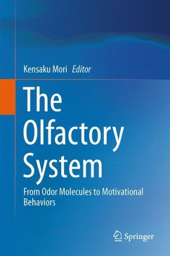 The Olfactory System (eBook, PDF)