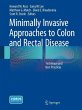 Minimally Invasive Approaches to Colon... - Bild 1