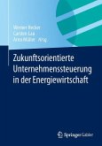 Zukunftsorientierte Unternehmenssteuerung in der Energiewirtschaft (eBook, PDF)