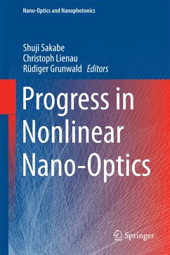 Progress in Nonlinear Nano-Optics (eBook, PDF)