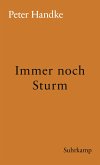 Immer noch Sturm (eBook, ePUB)