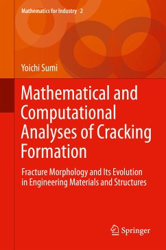 Mathematical and Computational Analyses of Cracking Formation (eBook, PDF) - Sumi, Yoichi