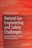 Natural Gas Engineering and Safety Challenges (eBook, PDF)