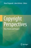 Copyright Perspectives (eBook, PDF)