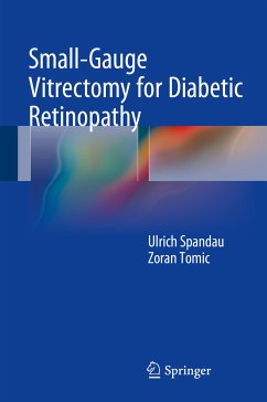 Small-Gauge Vitrectomy for Diabetic Retinopathy (eBook, PDF) - Spandau, Ulrich