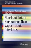 Non-Equilibrium Phenomena near Vapor-Liquid Interfaces (eBook, PDF)