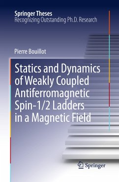 Statics and Dynamics of Weakly Coupled Antiferromagnetic Spin-1/2 Ladders in a Magnetic Field (eBook, PDF) - Bouillot, Pierre