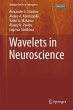Wavelets in Neuroscience (eBook, PDF) - Bild 1