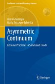 Asymmetric Continuum (eBook, PDF)
