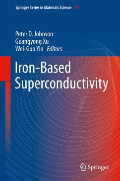 Iron-Based Superconductivity (eBook, PDF)