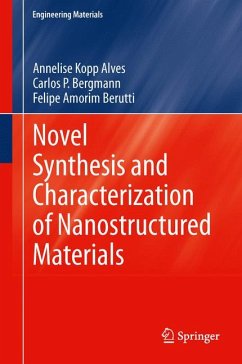 Novel Synthesis and Characterization of Nanostructured Materials (eBook, PDF) - Kopp Alves, Annelise; Bergmann, Carlos P.; Berutti, Felipe Amorim