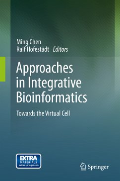 Approaches in Integrative Bioinformatics (eBook, PDF)