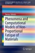 Phenomena and Computational Models of... - Bild 1
