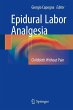 Epidural Labor Analgesia (eBook, PDF) - Bild 1