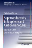 Superconductivity in Graphene and Carbon Nanotubes (eBook, PDF)