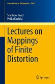 Lectures on Mappings of Finite Distortion (eBook, PDF)