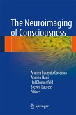 Neuroimaging of Consciousness (eBook, PDF)