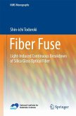 Fiber Fuse (eBook, PDF)