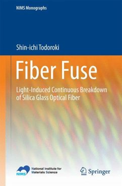 Fiber Fuse (eBook, PDF) - Todoroki, Shin-ichi