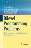 Bilevel Programming Problems (eBook, PDF)