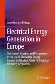 Electrical Energy Generation in Europe (eBook, PDF)