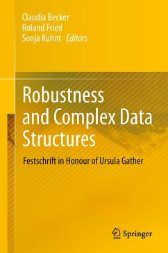 Robustness and Complex Data Structures (eBook, PDF)