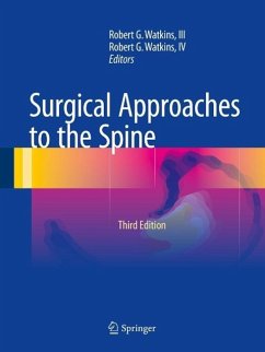 Surgical Approaches to the Spine (eBook, PDF)