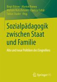 Sozialpädagogik zwischen Staat und Familie (eBook, PDF)