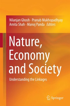 Nature, Economy and Society (eBook, PDF)