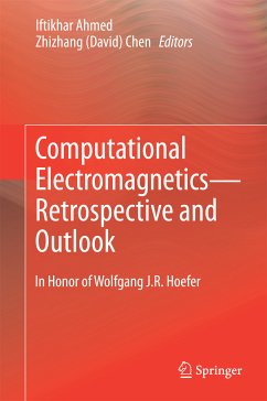 Computational Electromagnetics—Retrospective and Outlook (eBook, PDF)