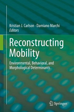 Reconstructing Mobility (eBook, PDF)
