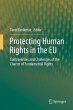 Protecting Human Rights in the EU... - Bild 1