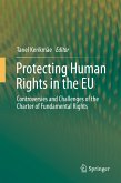 Protecting Human Rights in the EU (eBook, PDF)