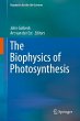 The Biophysics of Photosynthesis... - Bild 1