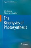 The Biophysics of Photosynthesis (eBook, PDF)