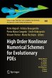 High Order Nonlinear Numerical Schemes... - Bild 1