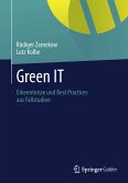 Green IT (eBook, PDF)