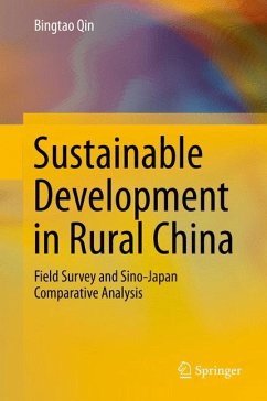 Sustainable Development in Rural China (eBook, PDF) - Qin, Bingtao