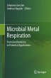 Microbial Metal Respiration (eBook, PDF) - Bild 1