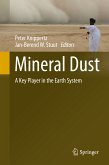 Mineral Dust (eBook, PDF)
