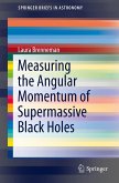 Measuring the Angular Momentum of Supermassive Black Holes (eBook, PDF)