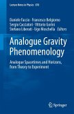 Analogue Gravity Phenomenology (eBook, PDF)