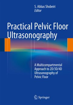 Practical Pelvic Floor Ultrasonography (eBook, PDF)