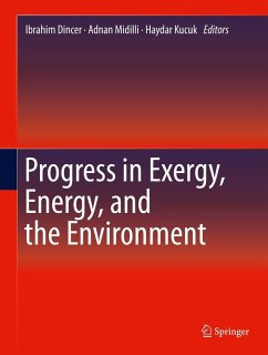 Cover Progress in Exergy, Energy, and the Environment (eBook, PDF)